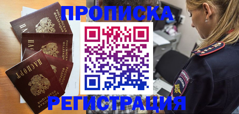 прописка штамп в Сольцах